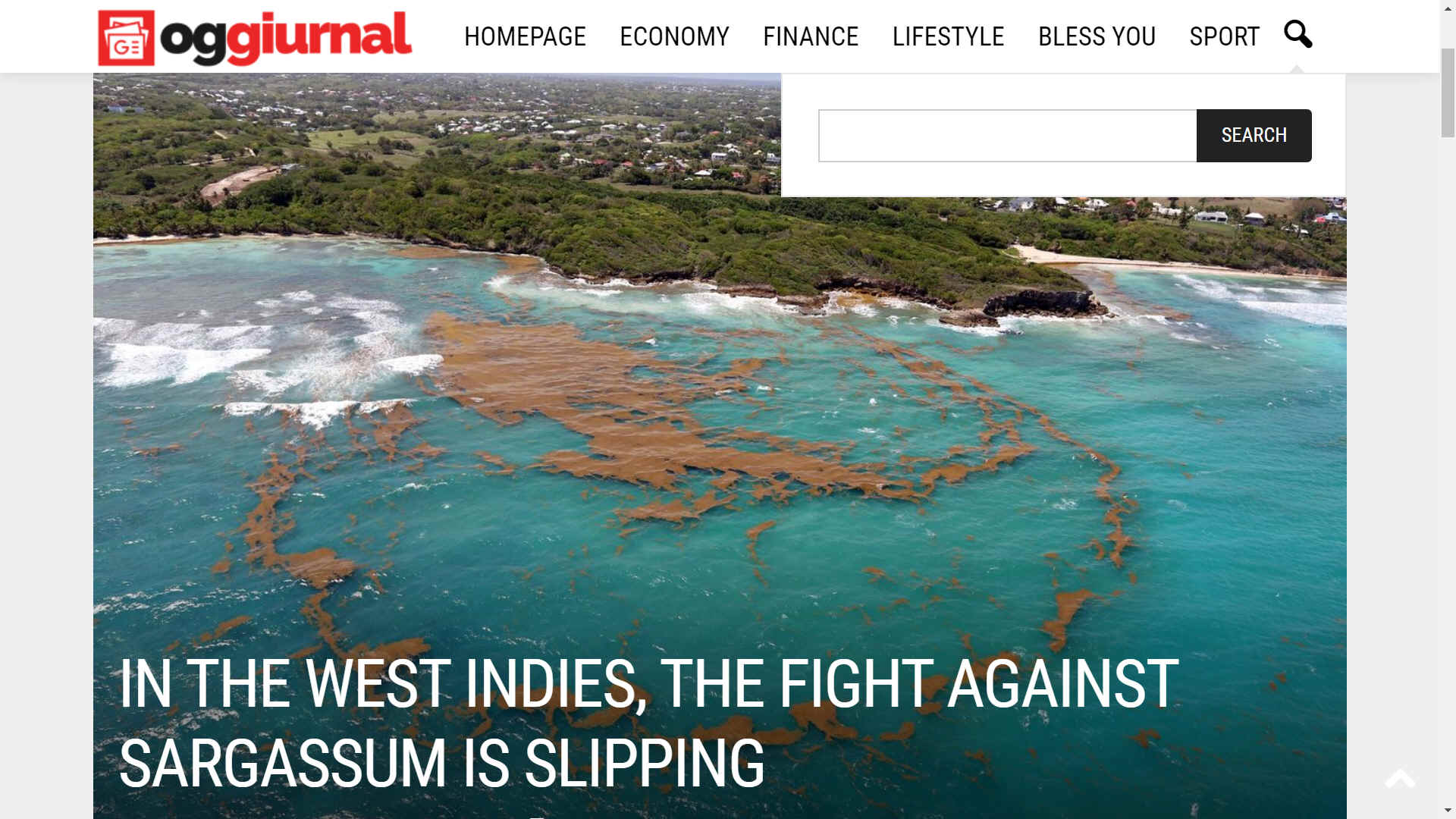 OG Giiurnal - In the West Indies, the fight against sargassum is slipping