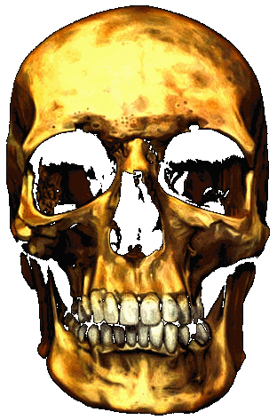 The golden skull, Blackbeard's curse and pirates gold
