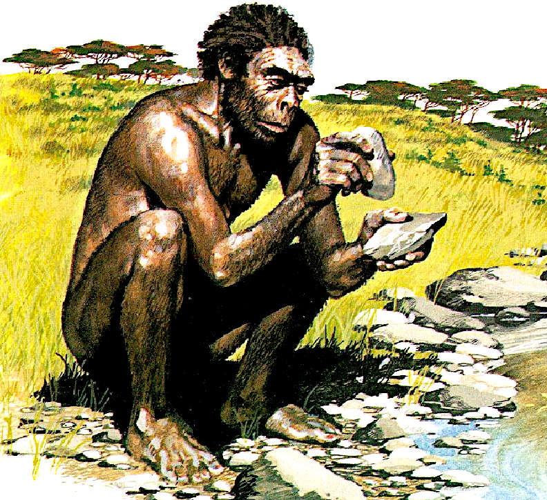 Homo Habilis, early man who used tools